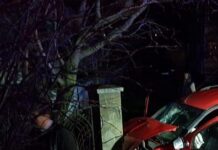 Imobilizare cu cătușe și polițiști duși în eroare după ce doi indivizi au intrat cu duba în gardul unei case