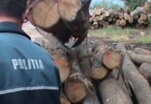 acțiune polițiști