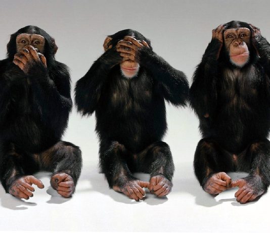 sursa foto: radioreșița